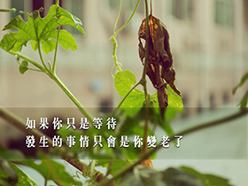 個人轉(zhuǎn)正工作總結(jié)